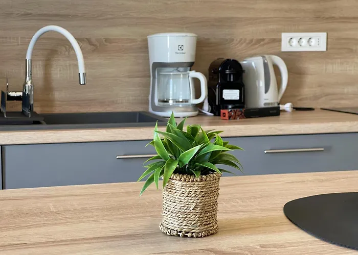 Bonum Gæstehus Šilo